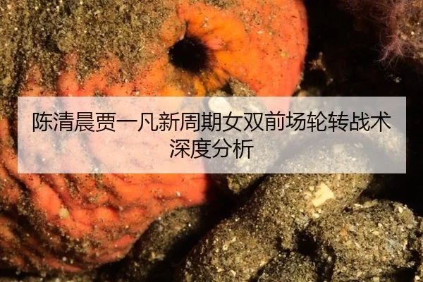 chen-qing-chen-jia-yi-fan-xin-zhou-qi-nv-shuang-qian-chang-lun-zhuan-zhan-shu-shen-du-fen-xi-2-972.jpg